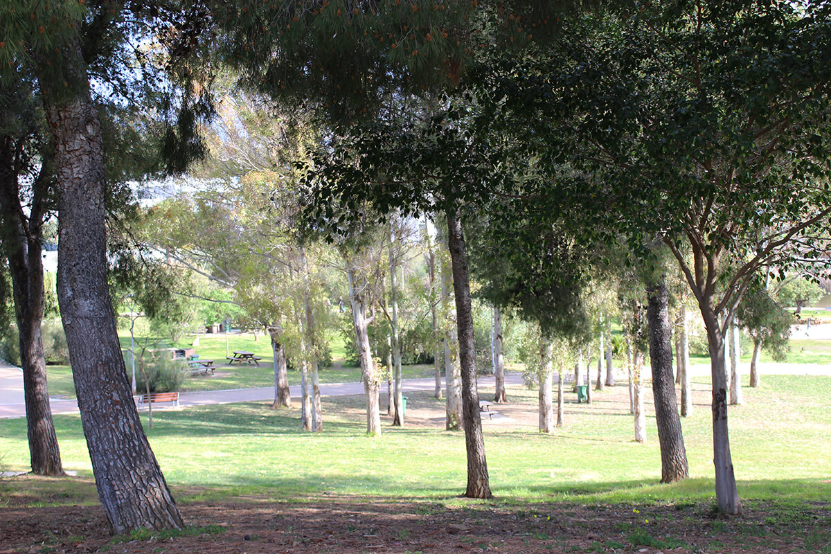 Parque de los Tres Jardines